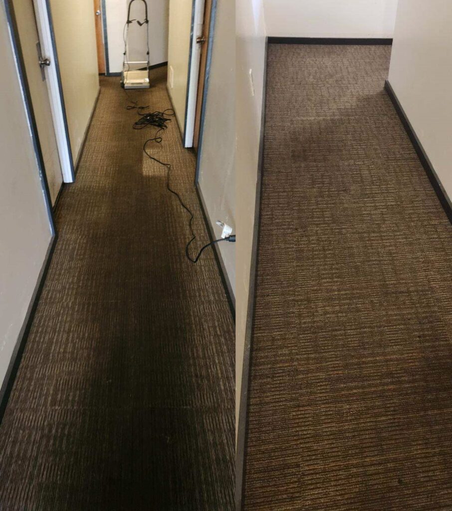 before and after carpet cleaning